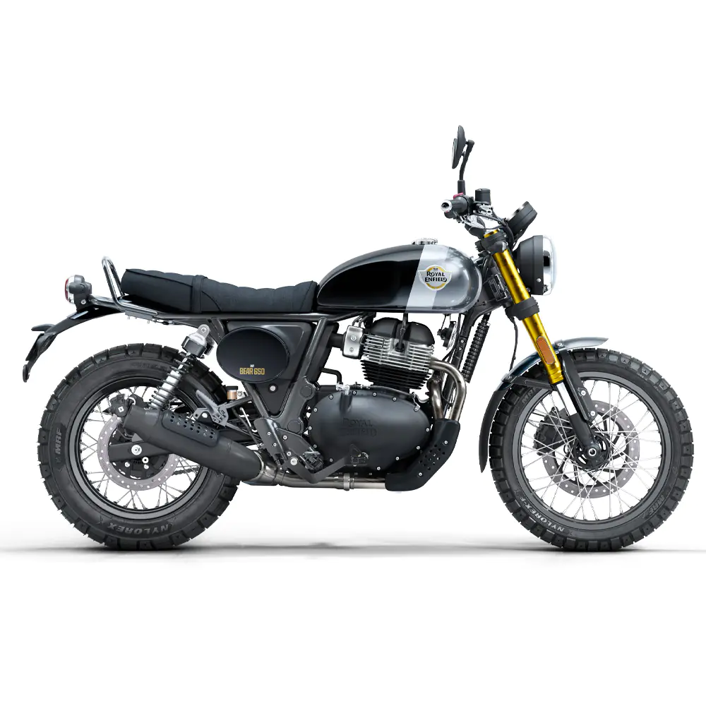 Royal Enfield Bear 650 in Golden Shadow bij Lowlands Biker Store Zwolle