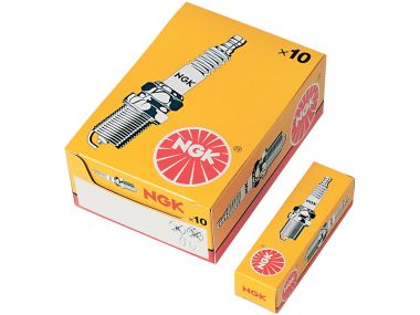 30424653.jpg